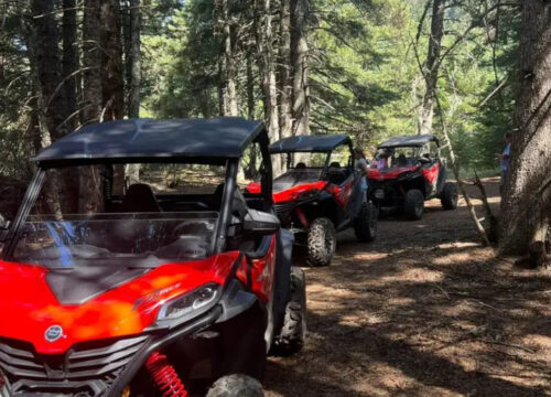 Parnassos Buggy Tour